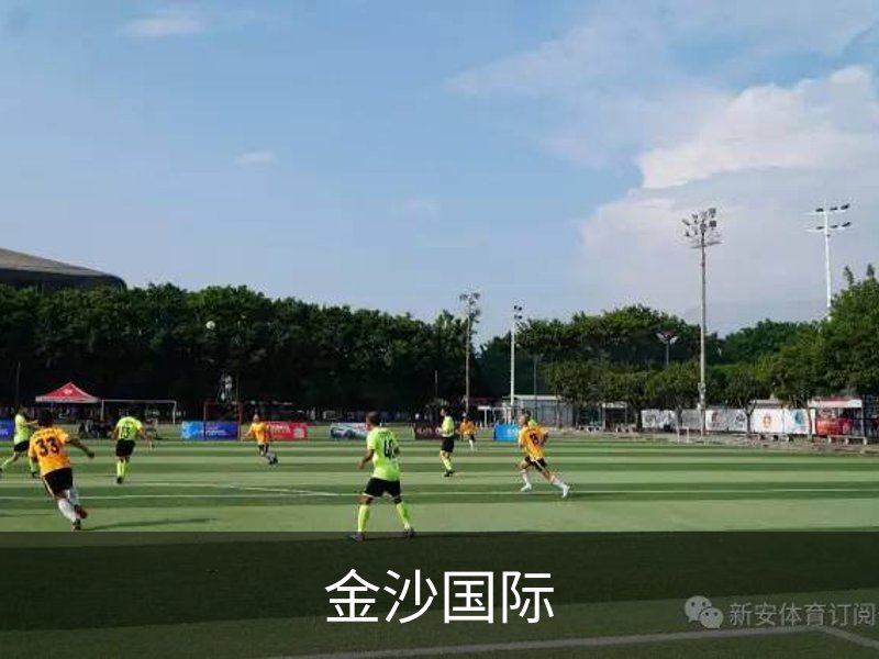 金沙国际介绍